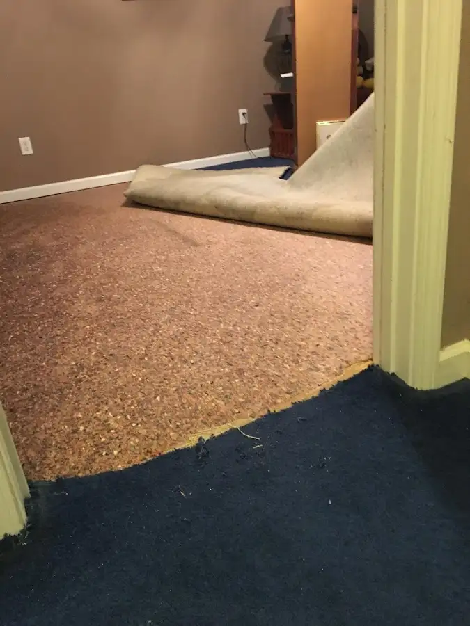 Carpet pad removal revealing water damage during Drying & Dehumidification in Marshalltown