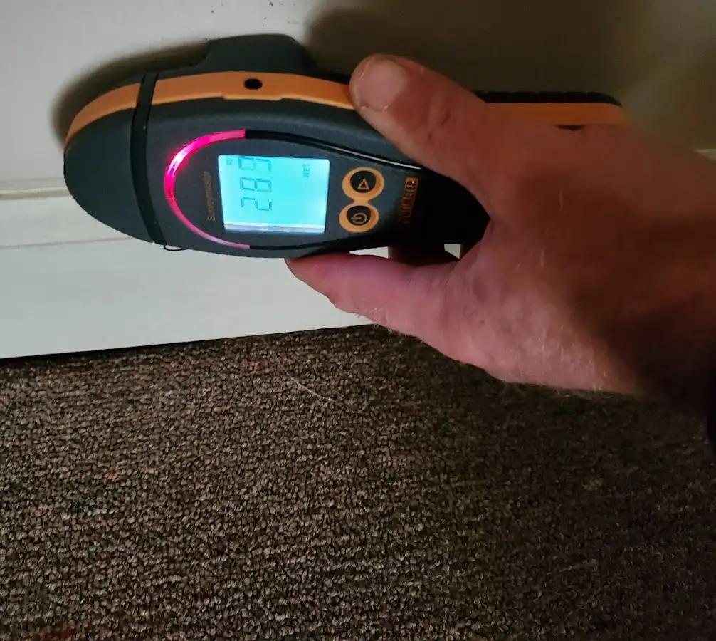 Moisture detection at baseboard during Mold Inspection & Testing in Marshalltown